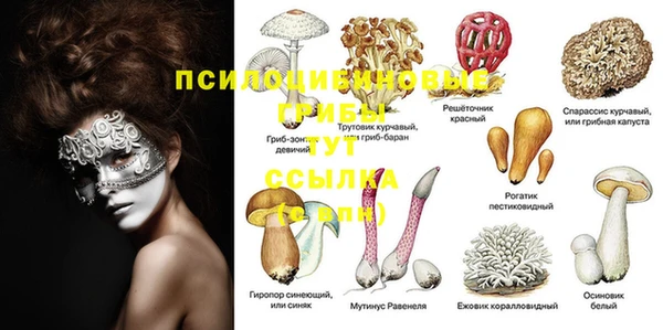 амфетамин Новозыбков