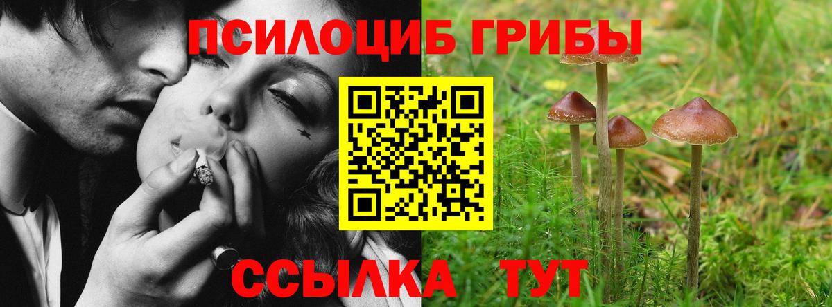 Кинель  Галлюциногенные грибы Psilocybine cubensis  Галлюциногенные грибы мицелий  где продают наркотики  Вход с VPN 