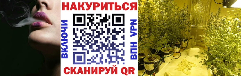 Бошки марихуана AK-47  купить наркотик  Кинель 